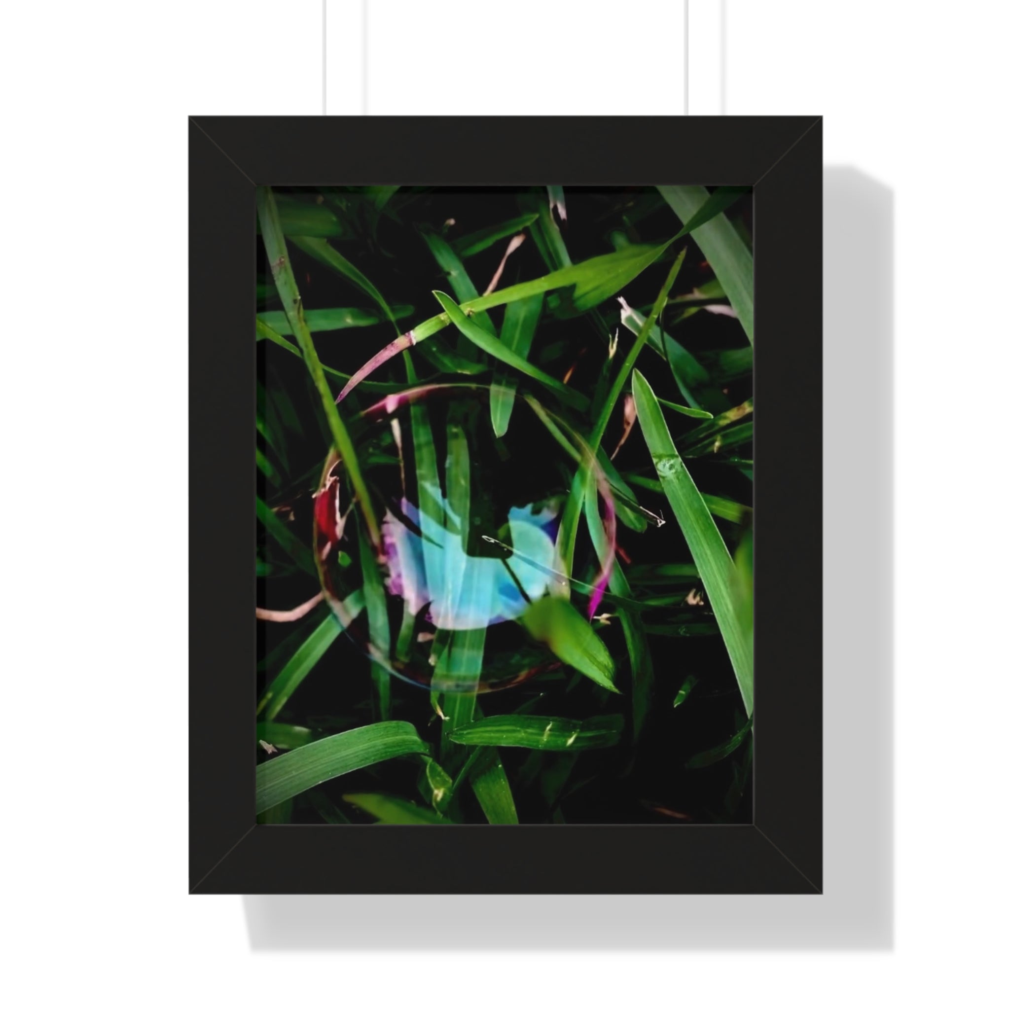 Framed Bubble in Grass Photo