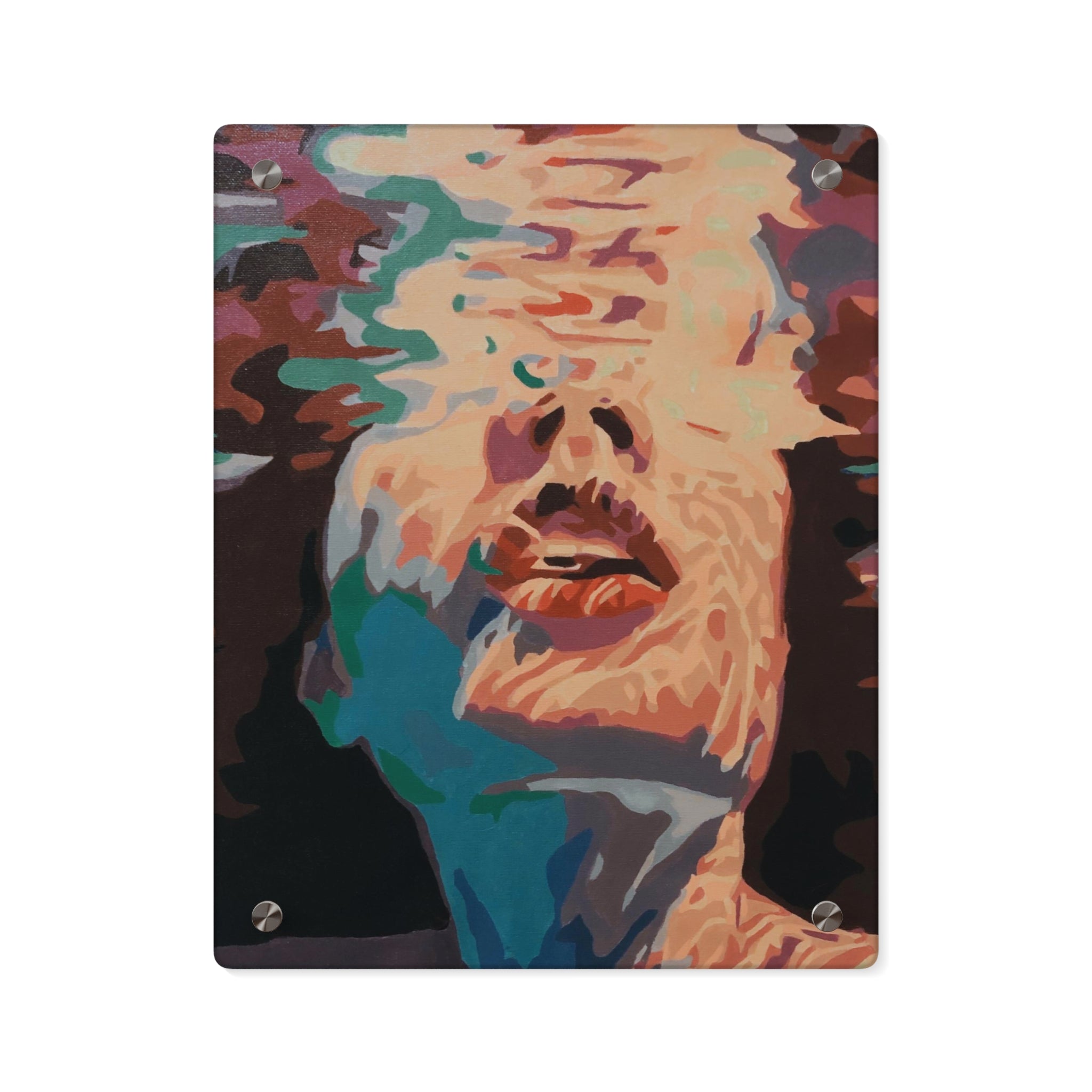 acrylic panel wall art