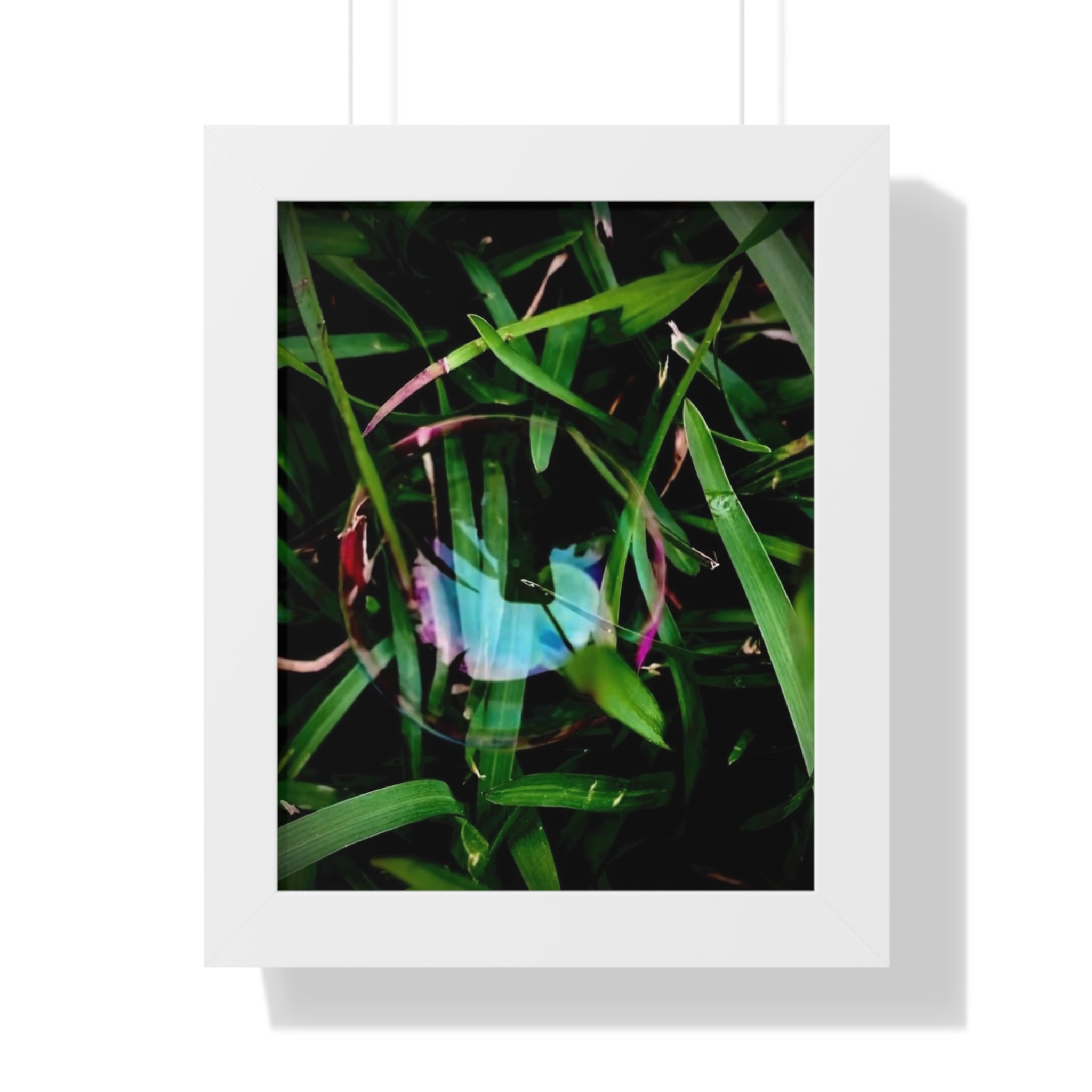 Framed Bubble in Grass Photo