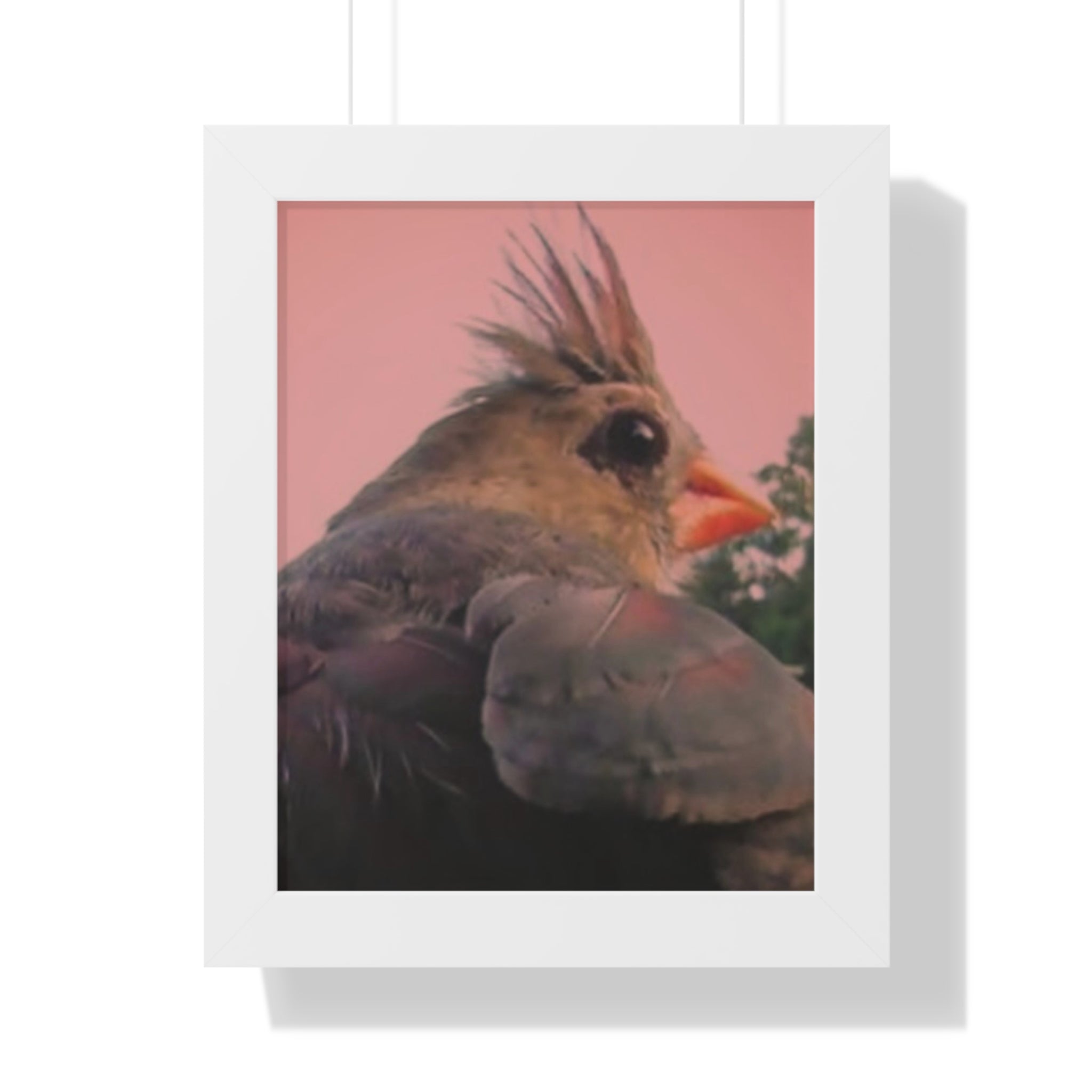 Framed Bird Vertical Poster by Jo Bird