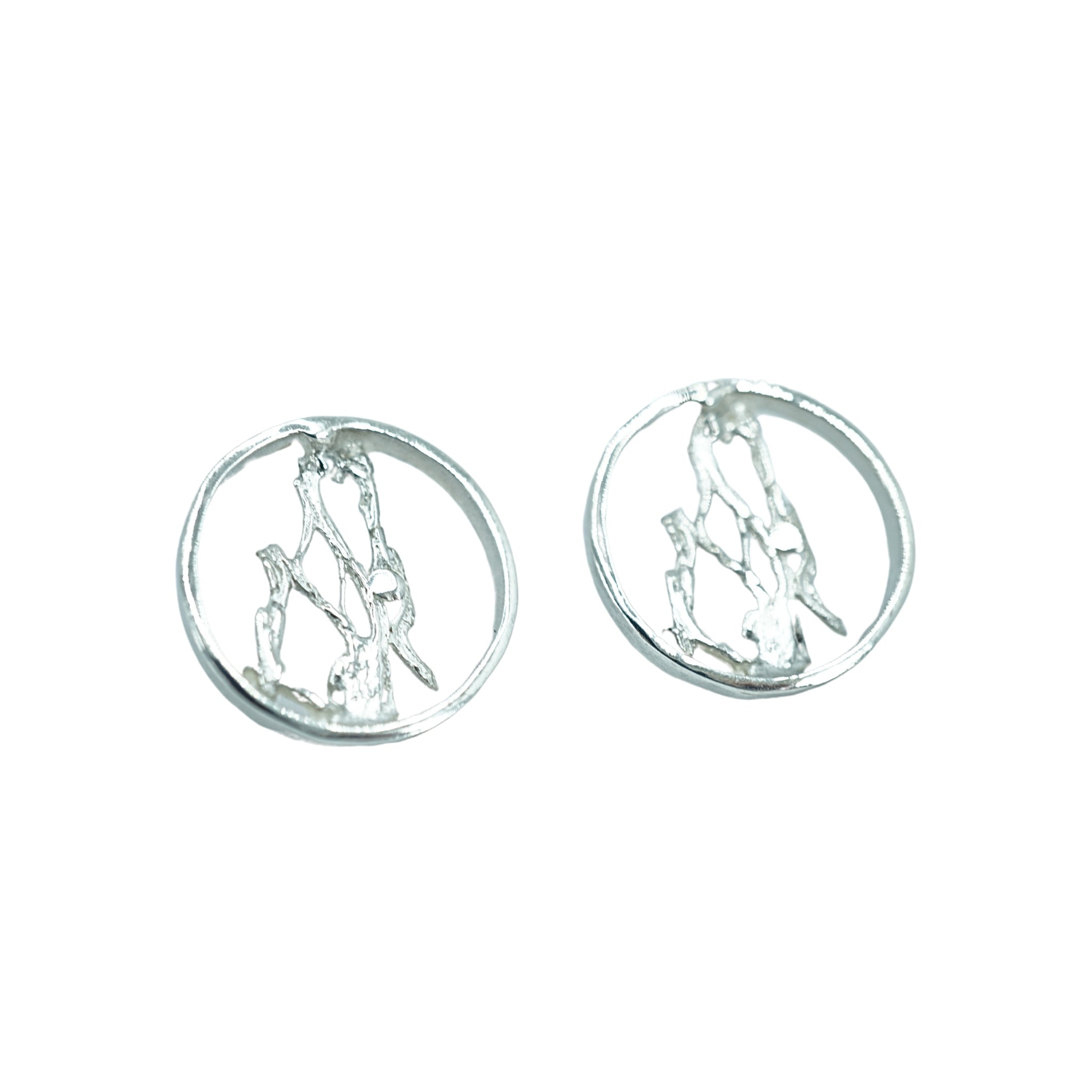 Texas Cactus Earrings